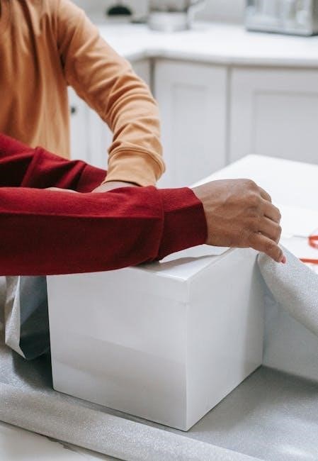 home care package manual for providers