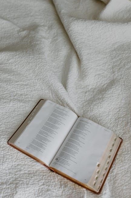how to study the bible effectively for beginners pdf