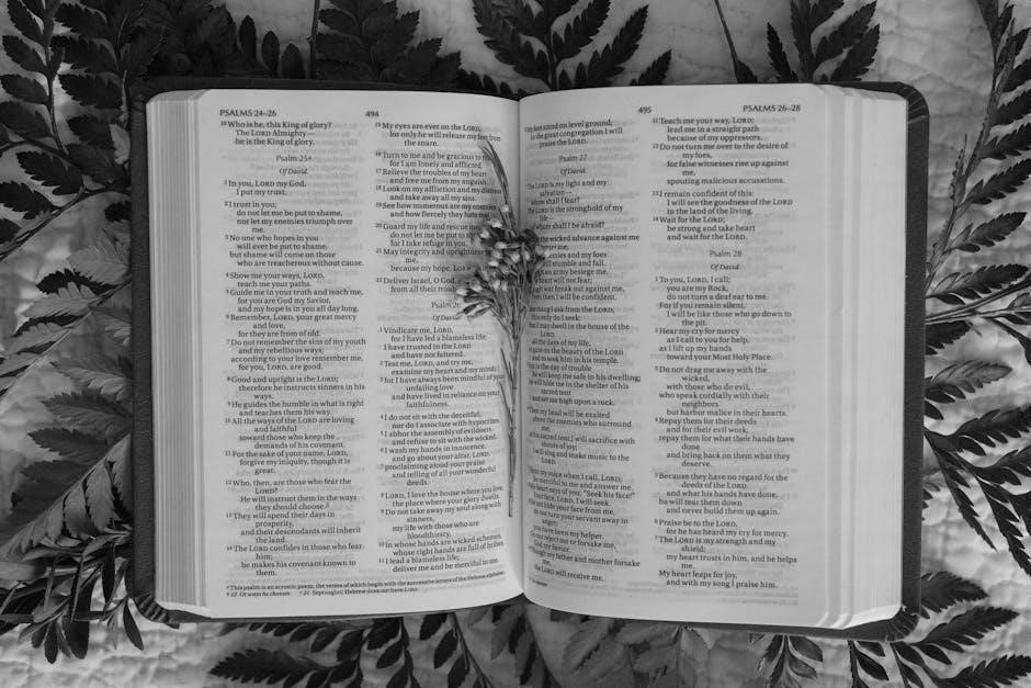 the black bible pdf