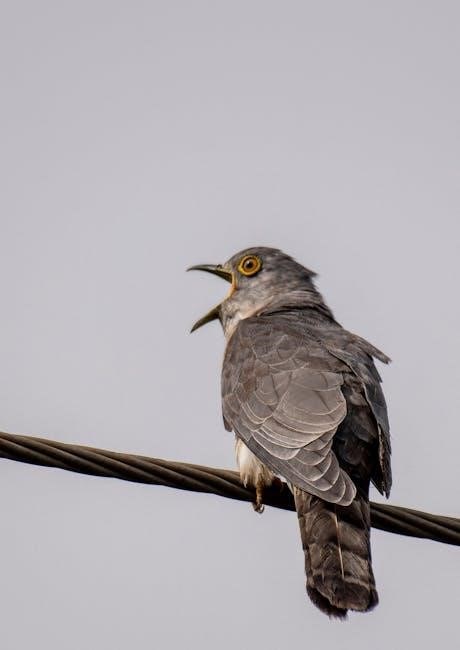 one who flew over the cuckoo’s nest pdf