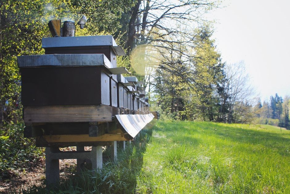 bee hive stand plans pdf